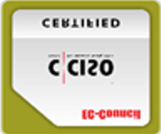 vCISO Cybersecurity Service